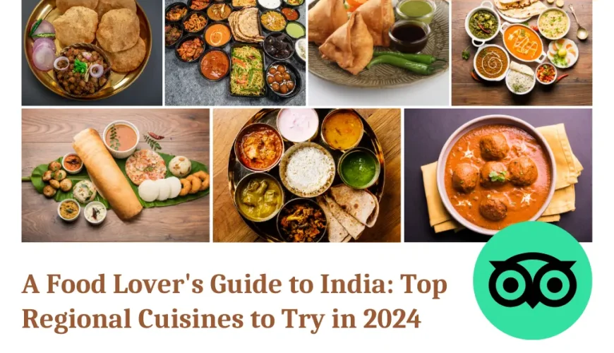 A Food Lover’s Guide to India: Top Regional Cuisines to Try in 2024