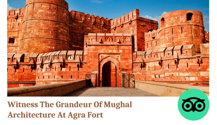 Witness the Grandeur of Mughal Architecture at Agra Fort