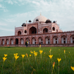 Top 5 tours from Delhi