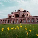 Top 5 tours from Delhi