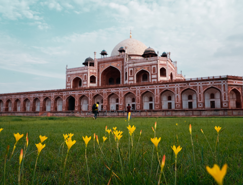 Top 5 tours from Delhi