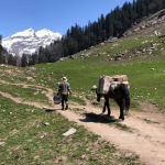 How Great Tour India Helps You Explore India Like a Local