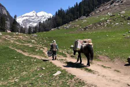 How Great Tour India Helps You Explore India Like a Local