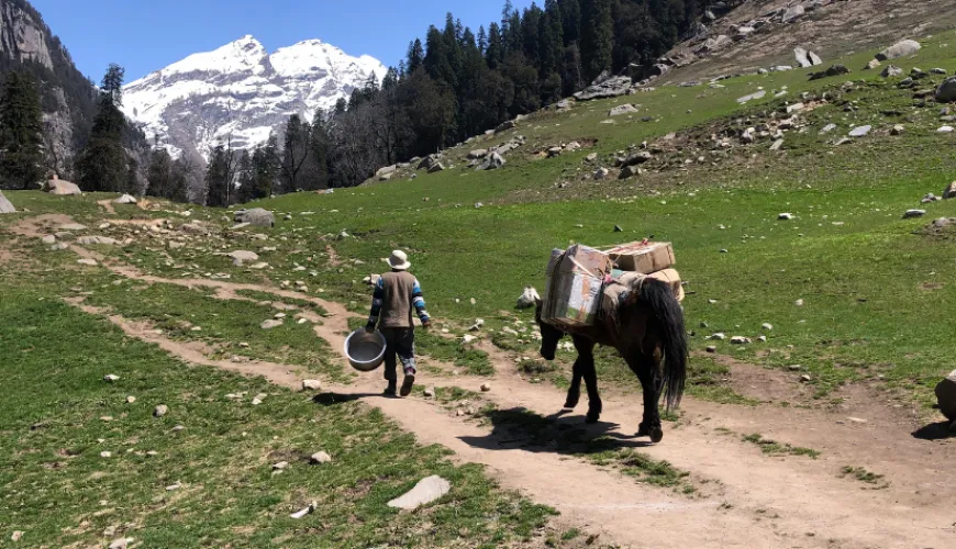 How Great Tour India Helps You Explore India Like a Local