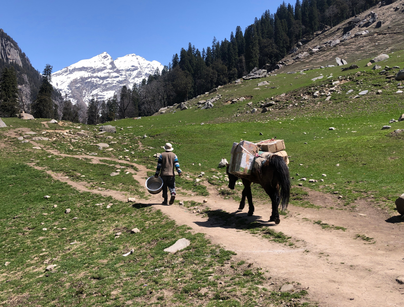 How Great Tour India Helps You Explore India Like a Local