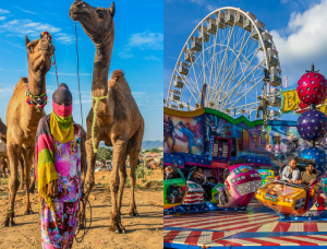 Visit Pushkar: Camel Fair Dates