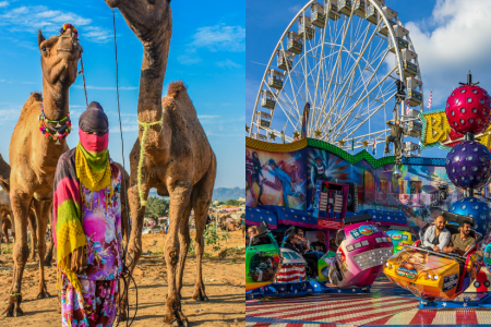 Visit Pushkar: Camel Fair Dates