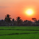 Top 7 sunrise points in India