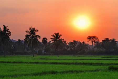 Top 7 sunrise points in India