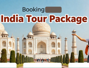 🇮🇳 Benefits of Booking a Customized India Tour Package